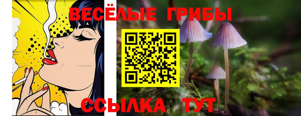 Псилоцибиновые грибы MAGIC MUSHROOMS  Псилоцибиновые грибы мицелий  Тайшет  Вход с VPN 